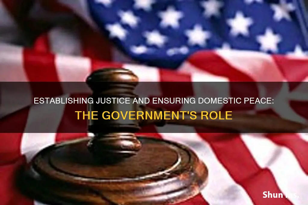 how does our government establish justice and insure domestic tranquility