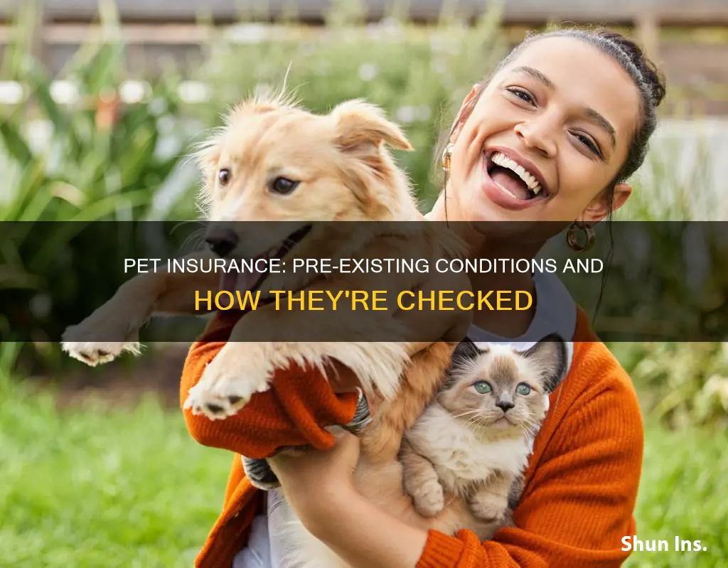how does pet insurance check for pre existing conditions