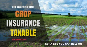 Prevented Planting Crop Insurance: Tax Implications and Strategies Explained