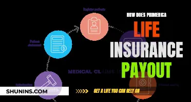 Primerica Life Insurance: Payout Process and Benefits Explained