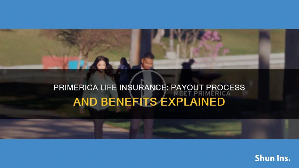 how does primerica life insurance payout