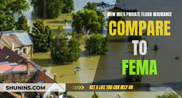 Flood Insurance Face-Off: FEMA vs Private, What's the Difference?