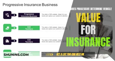 Progressive's Vehicle Insurance Valuation