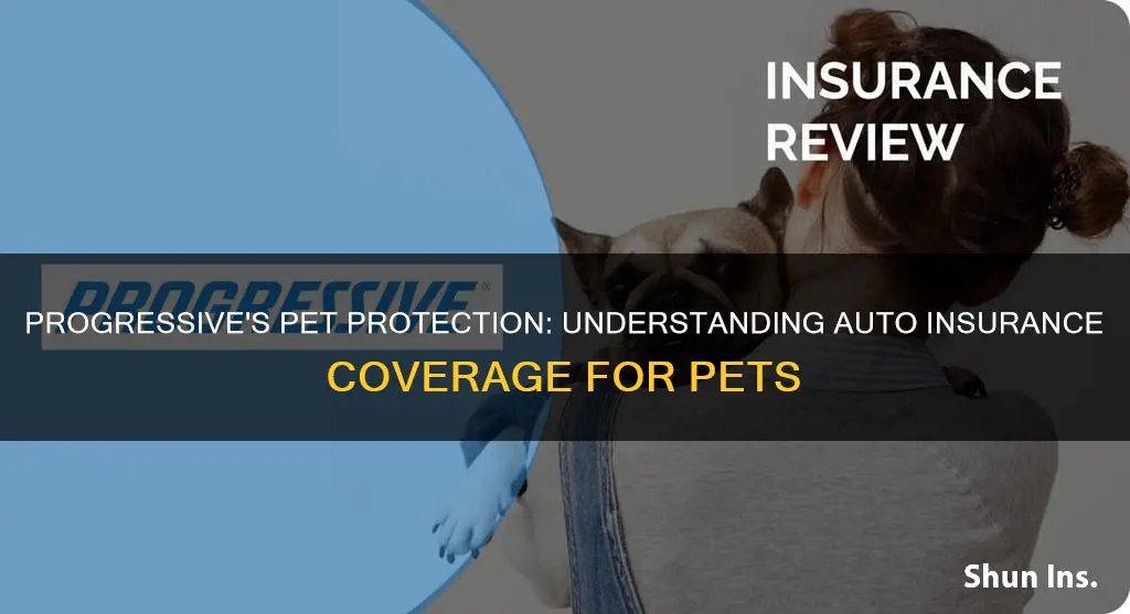 how does progressive auto insurance cover pets