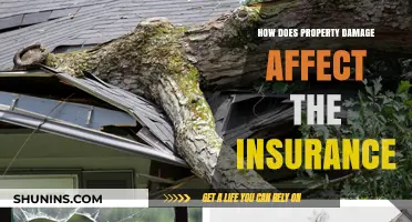 Property Damage: Insurance Claims and Coverage