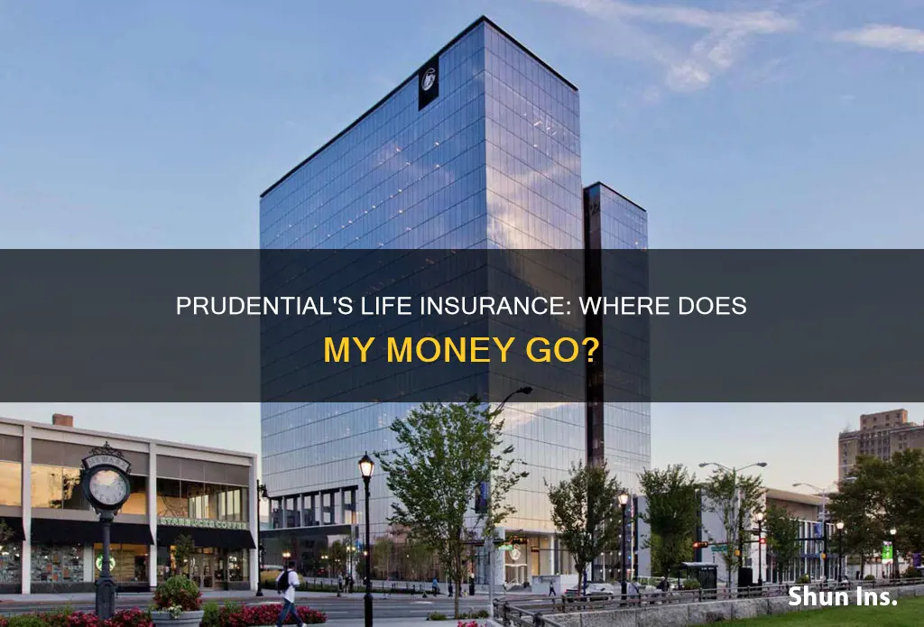 how does prudential invest my life insurance money