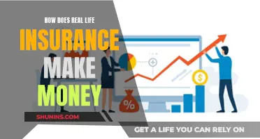 Real Life Insurance: Making Money by Protecting Lives