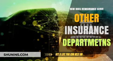 Reinsurance's Role: Supporting and Strengthening Insurance Departments Effectively