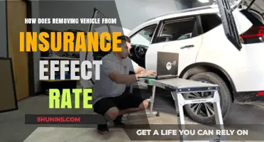 Removing Vehicles from Insurance: Impact on Rates