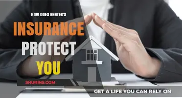 Renter's Insurance: Essential Protection for Your Belongings and Liability