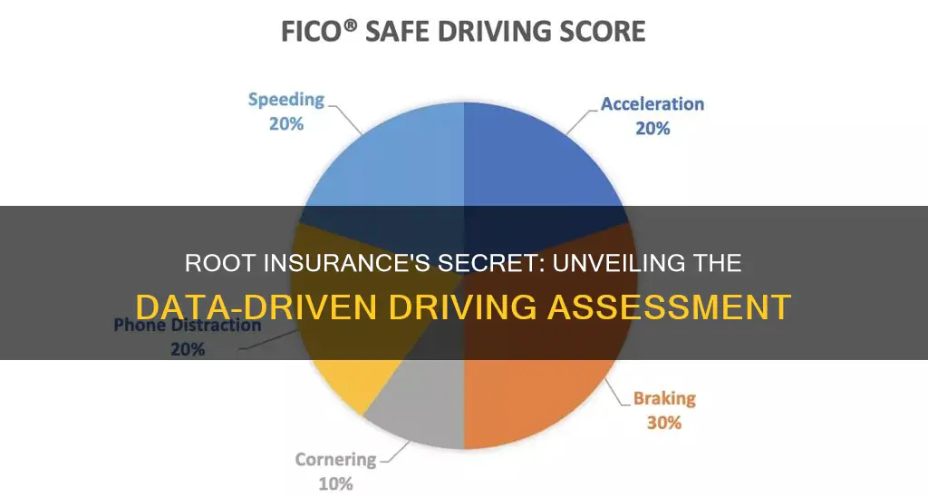 how does root insurance know how you drive