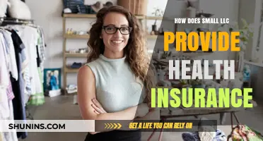How Small LLCs Can Offer Affordable Health Insurance to Employees