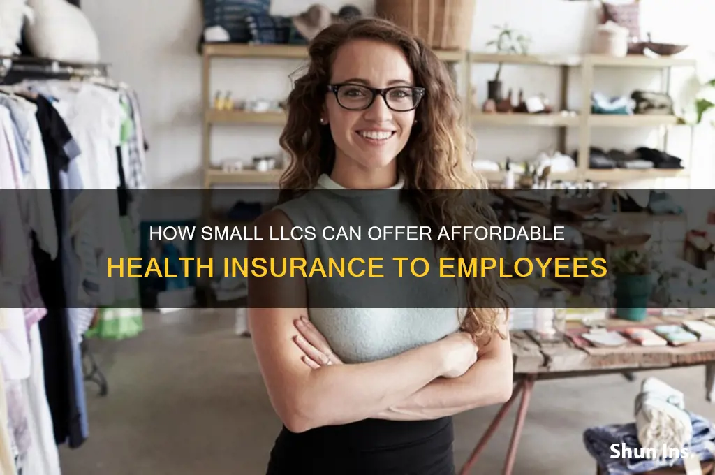 how does small llc provide health insurance