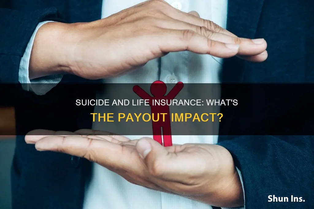 how does suicide affect life insurance payouts