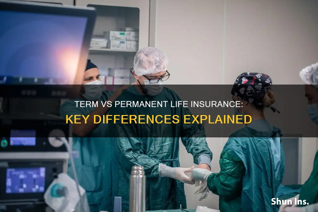 how does term life insurance differ from permanent life insurance