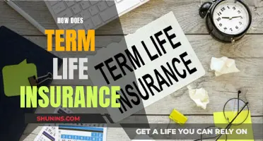 Term Life Insurance: Understanding the Basics of Coverage