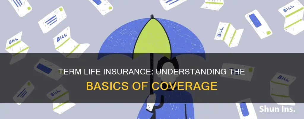 how does term life insurance