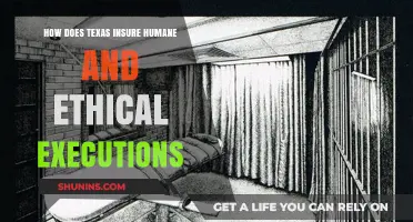 Texas Execution Protocols: Ensuring Humane and Ethical Practices in Capital Punishment