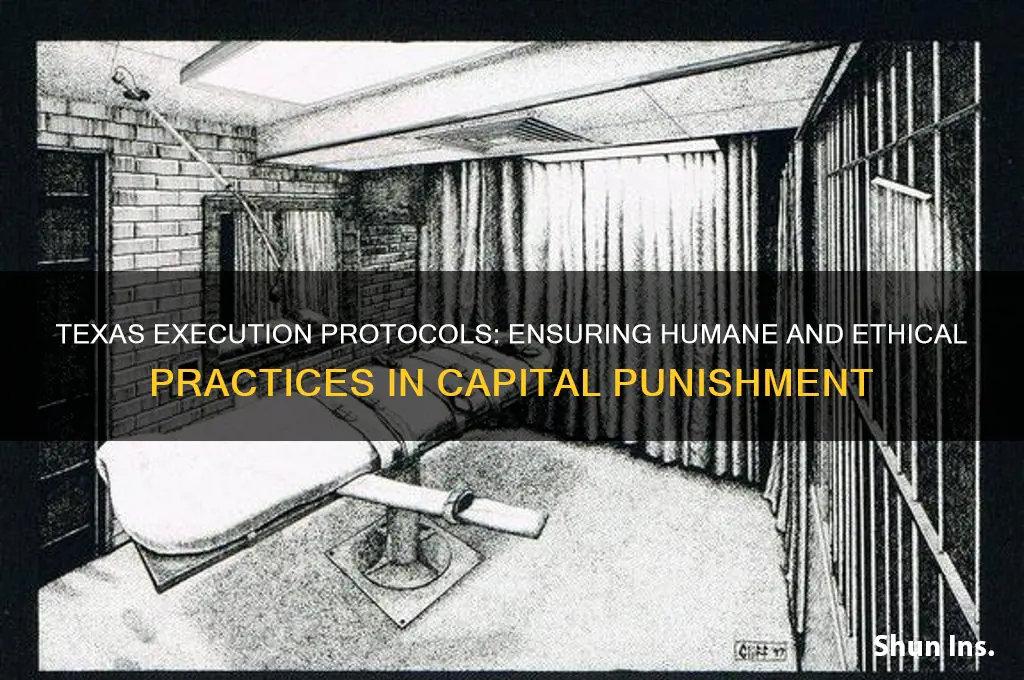 how does texas insure humane and ethical executions