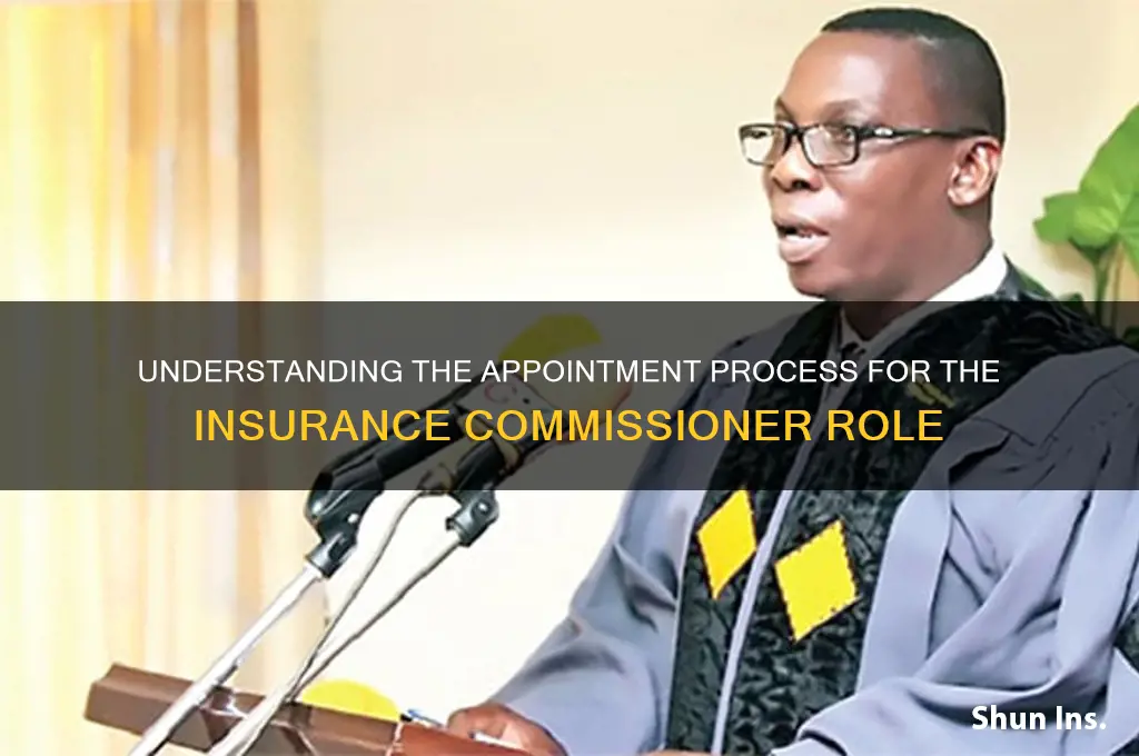how does the commissioner of insurance attain office