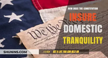 Upholding Peace: The Constitution's Role in Ensuring Domestic Tranquility