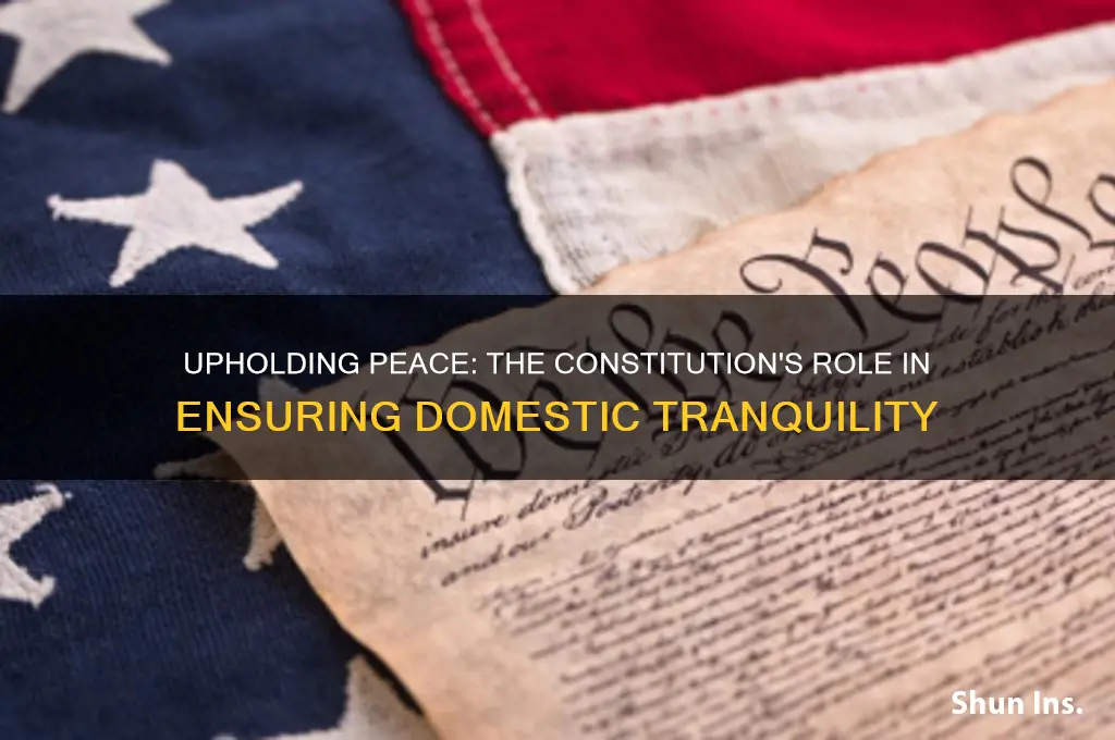 how does the constitution insure domestic tranquility