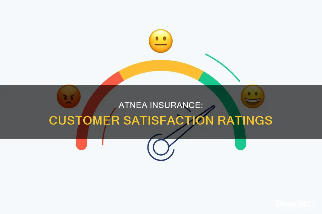 how does the customer report rate atnea insurance
