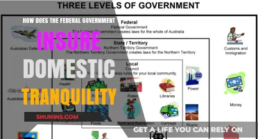 Federal Government: Ensuring Domestic Tranquility