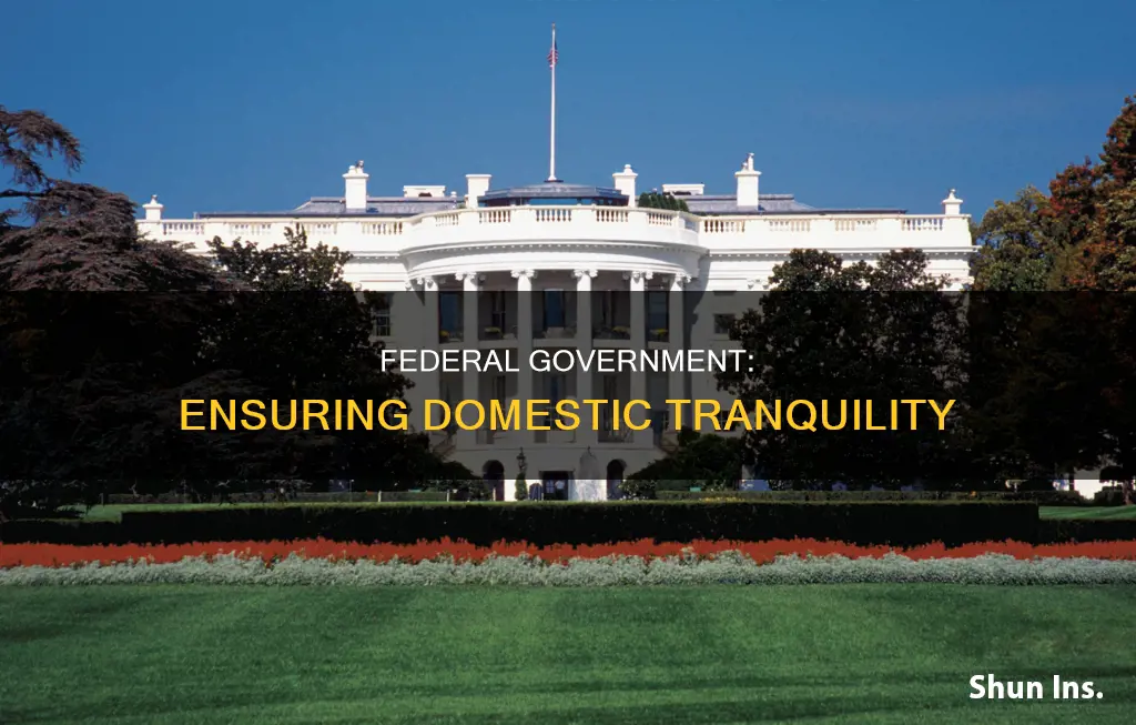 how does the federal government insure domestic tranquility