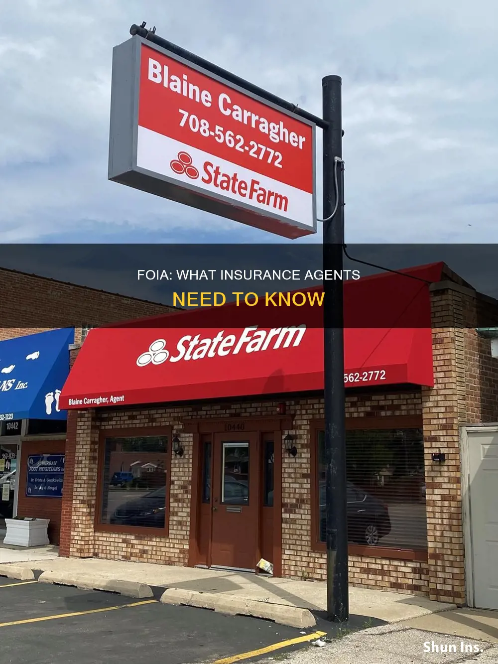 how does the freedom of information act effect insurance agents