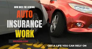 The Mechanics of General Auto Insurance: Understanding the Basics