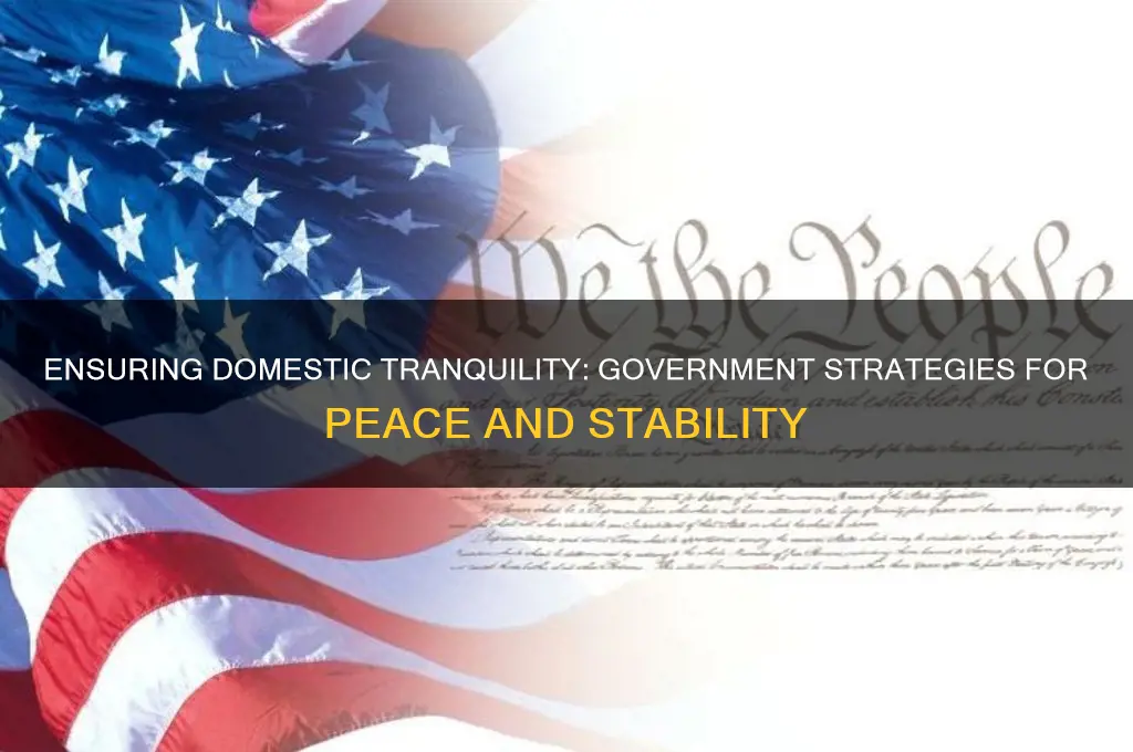 how does the government insure domestic tranquility