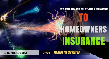 Protecting Your Home: Immune System vs. Homeowners Insurance