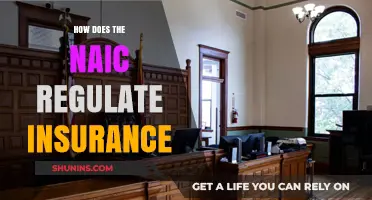 Understanding NAIC's Role in Regulating the Insurance Industry Effectively