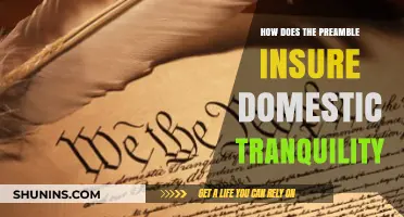 How the Preamble Safeguards Domestic Tranquility in Society