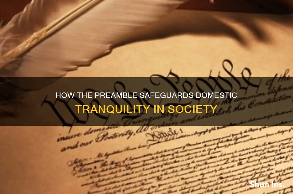 how does the preamble insure domestic tranquility