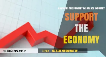 Primary Insurance Industry: Economic Stability, Growth, and Risk Mitigation Explained