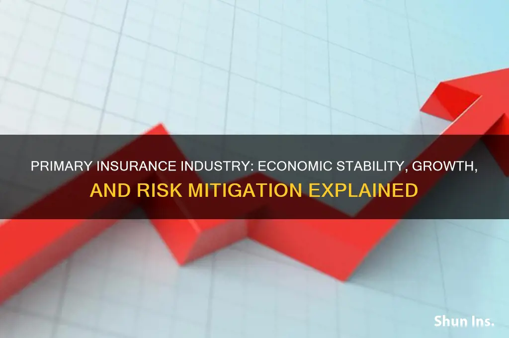 how does the primary insurance industry support the economy