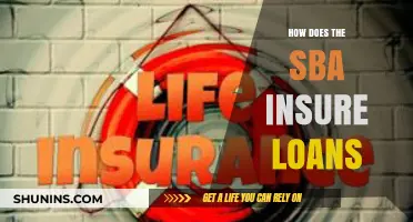 Understanding SBA Loan Insurance: How It Works and Benefits Borrowers