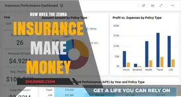 Zebra Insurance: Making Money by Protecting Drivers