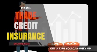 Understanding Trade Credit Insurance: Protecting Your Business from Payment Risks