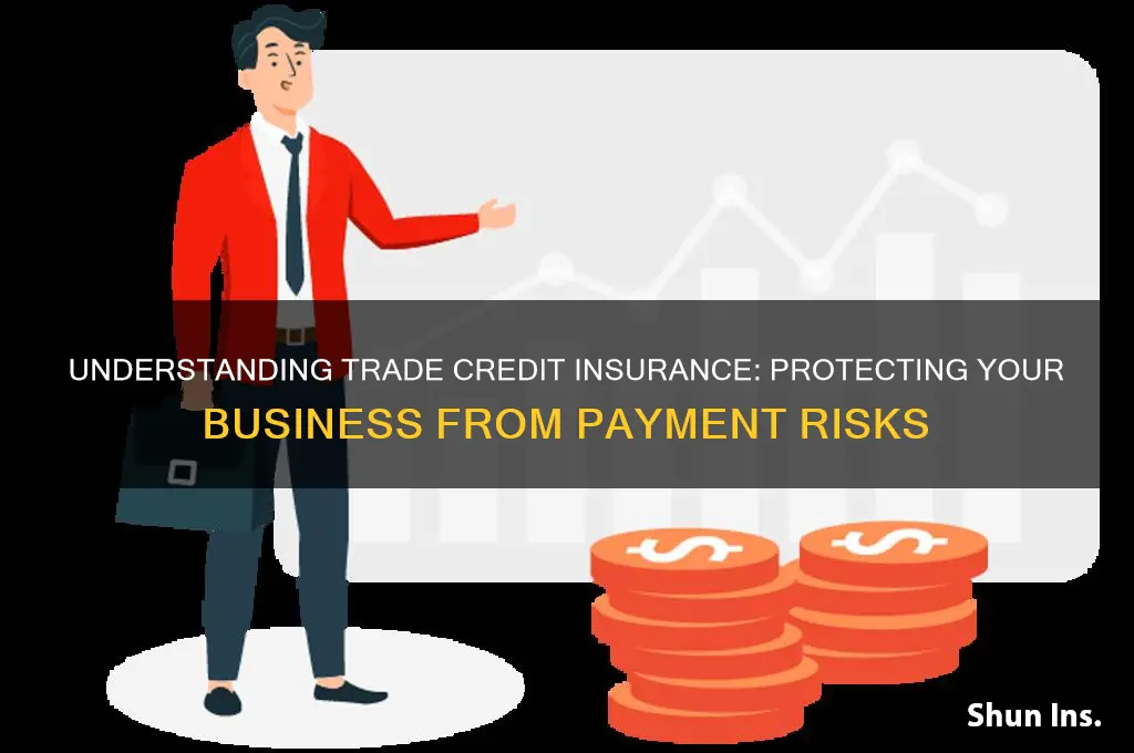 how does trade credit insurance