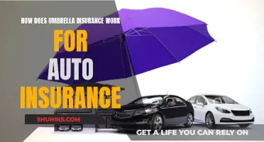 Umbrella Insurance: The Ultimate Auto Coverage Companion