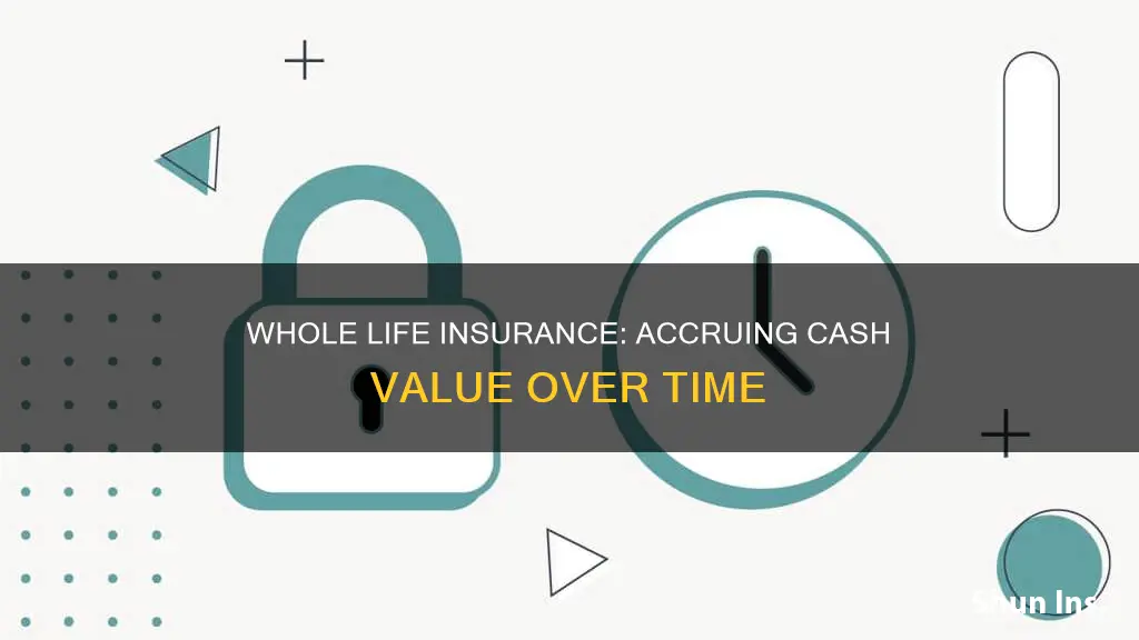 how does whole life insurance accrue xash value