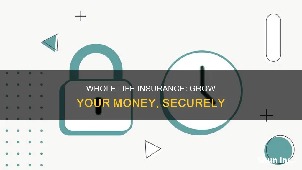 how does whole life insurance increase your money