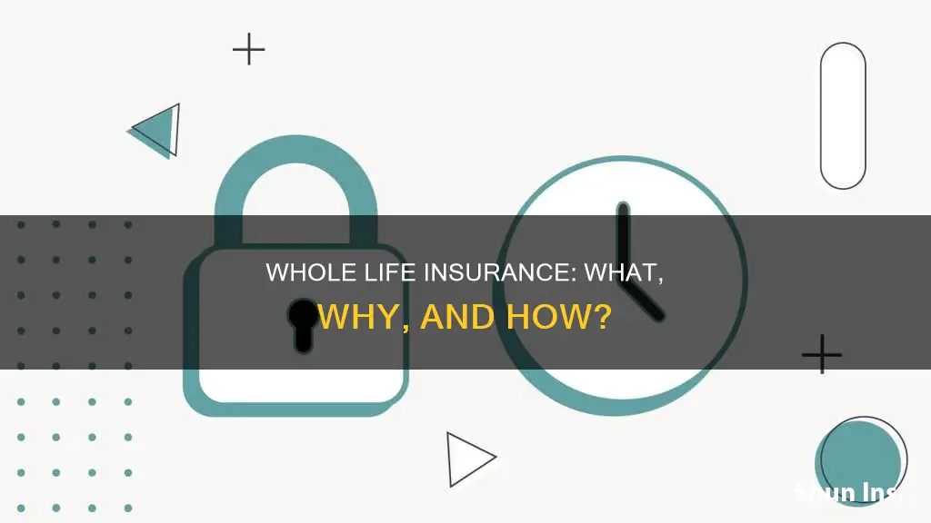 how does whole life insurance