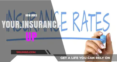 Insurance Rates: What's the Deal with Rising Costs?