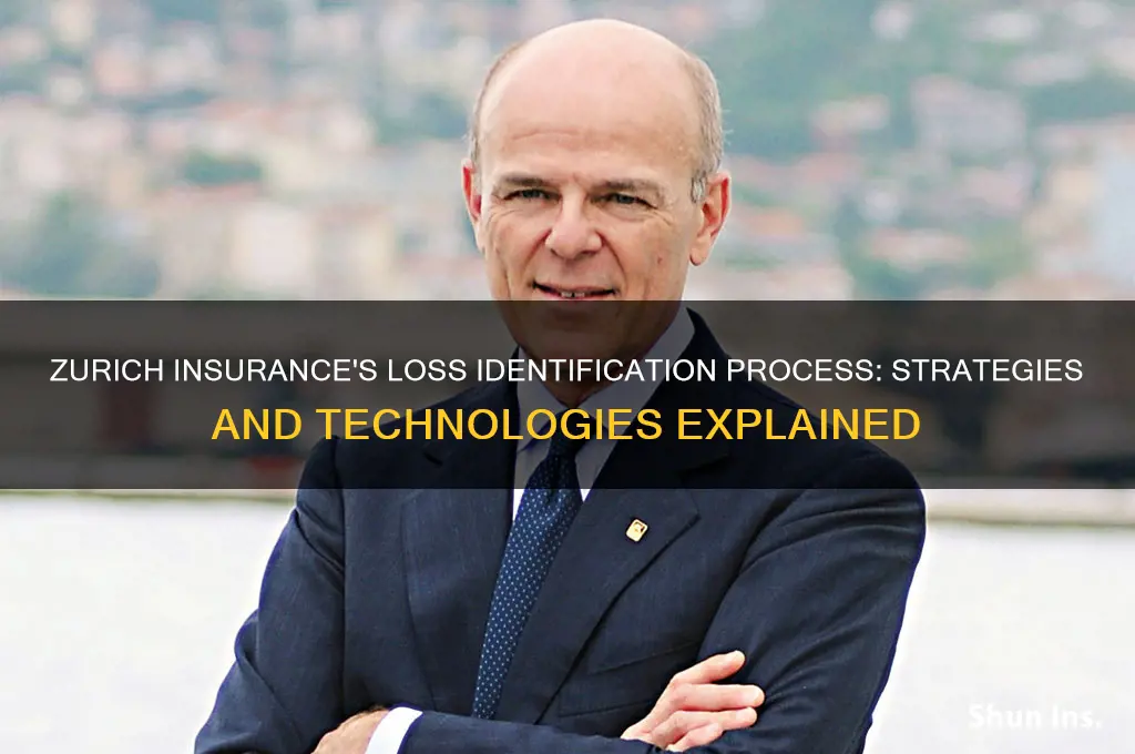 how does zurich insurance identify the loss