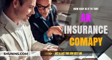 Launching an Insurance Company: Simplifying the Startup Process for Beginners