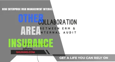 Enterprise Risk Management: Integrating Insurance for Comprehensive Protection